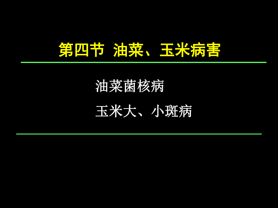 植物保護(hù)學(xué)通論：第四章 油菜玉米病害_第1頁