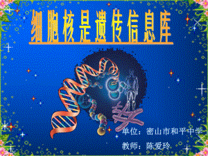 细胞核是遗传信息库（2011年9月20日）