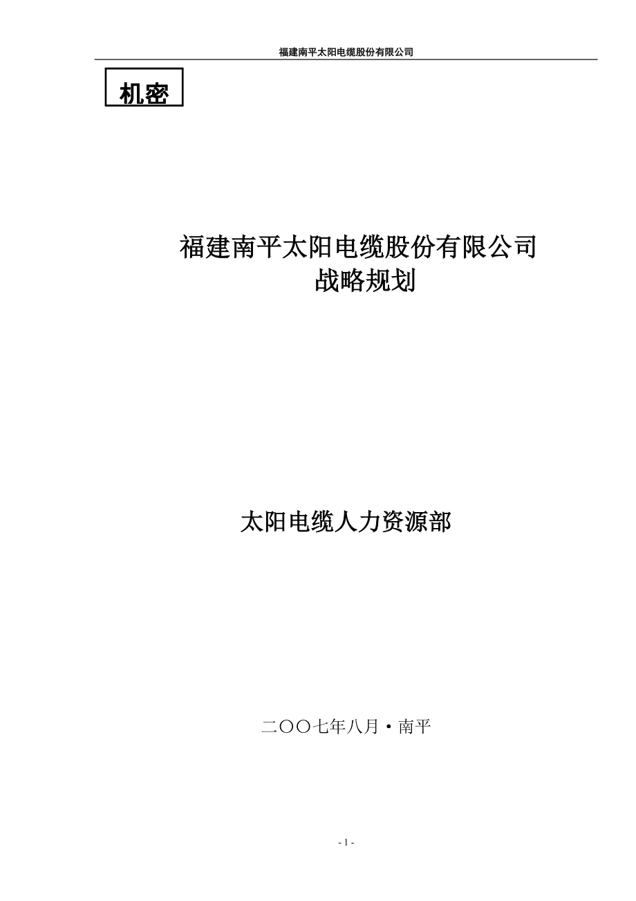 福建南平太阳电缆股份有限公司战略规划_第1页