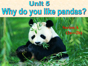 人教版七年級英語下冊unit 5 Why do you like panda Secion A