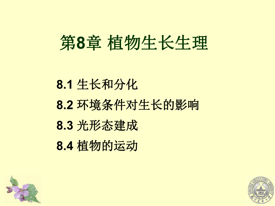 植物生理學(xué)：第8章 植物生長(zhǎng)生理_第1頁(yè)