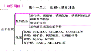 人教版九年級化學(xué)下冊 11. 生活中常見的鹽復(fù)習(xí)課