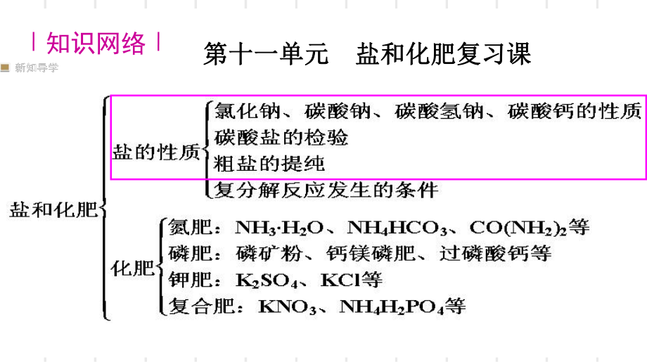 人教版九年級化學(xué)下冊 11. 生活中常見的鹽復(fù)習(xí)課_第1頁