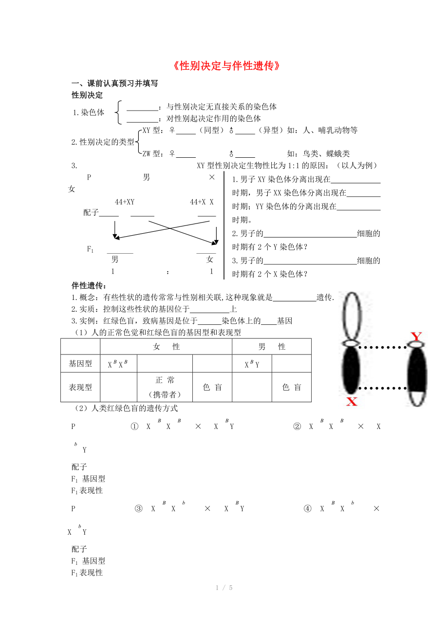 重慶市榮昌安富中學2014屆高二生物 性別決定與伴性遺傳教案_第1頁