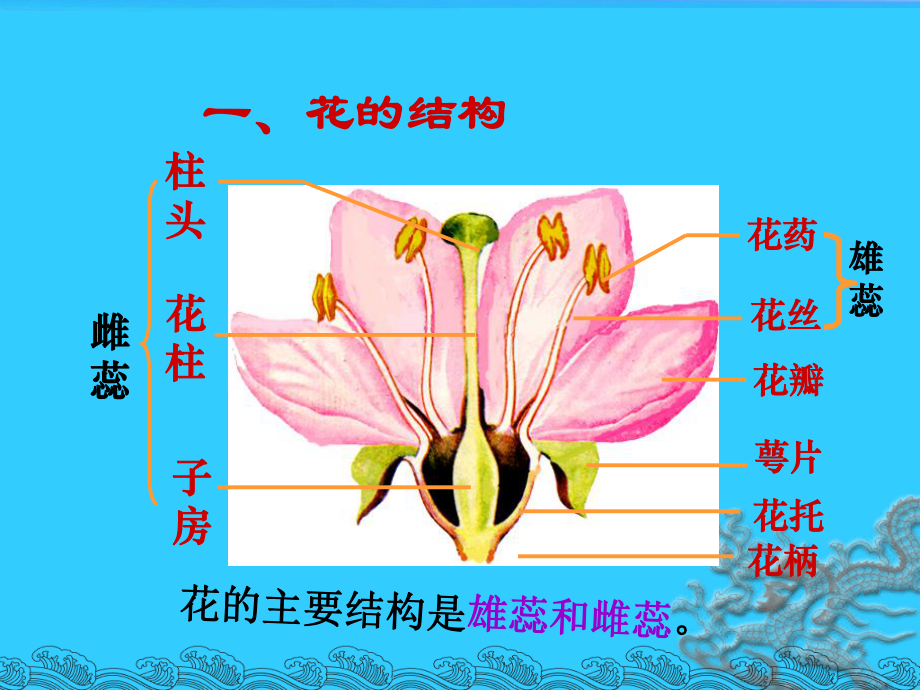 第三單元生物圈中的綠色植物第二章被子植物的一生第三節開花和結果