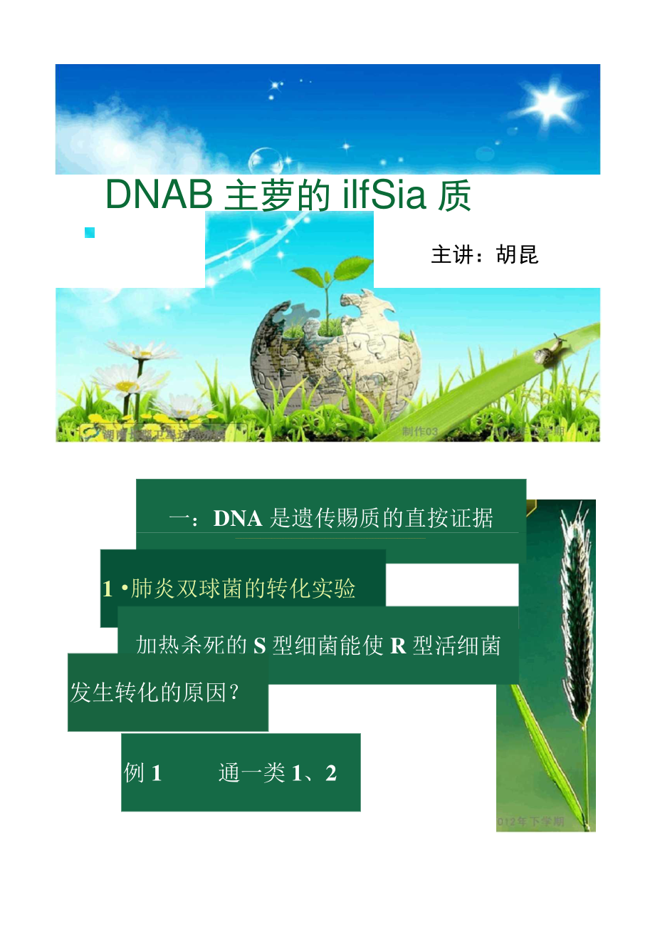 12-10-08高三生物《DNA是主要的遺傳物質(zhì)》((精)_第1頁