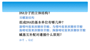 人教版高中生物必修二第三章第3節(jié)《DNA分子的復制》優(yōu)秀課件