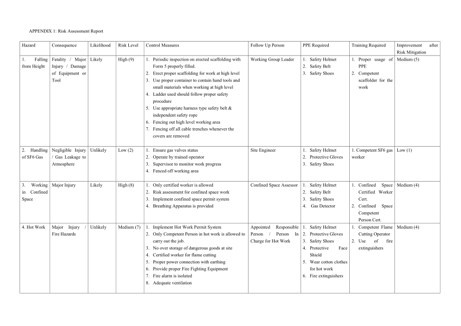 RiskAssessReport_第1页