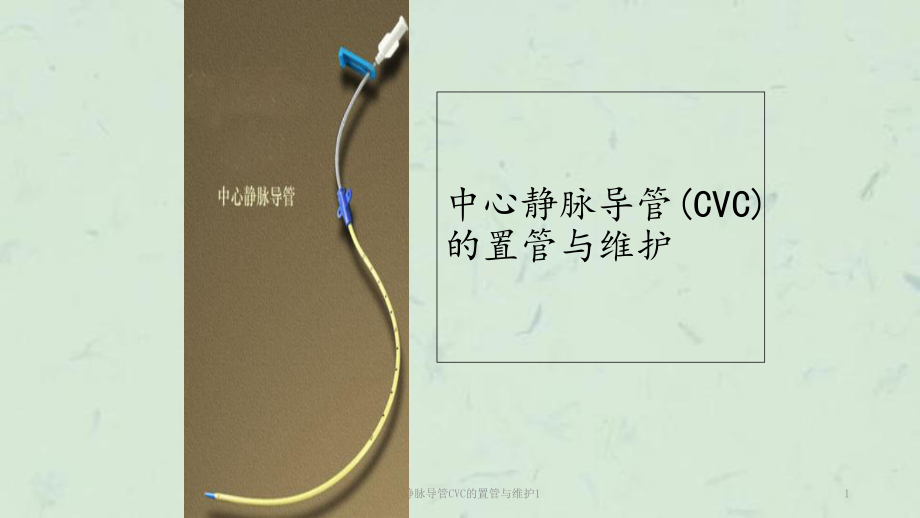 中心静脉导管CVC的置管与维护1课件_第1页