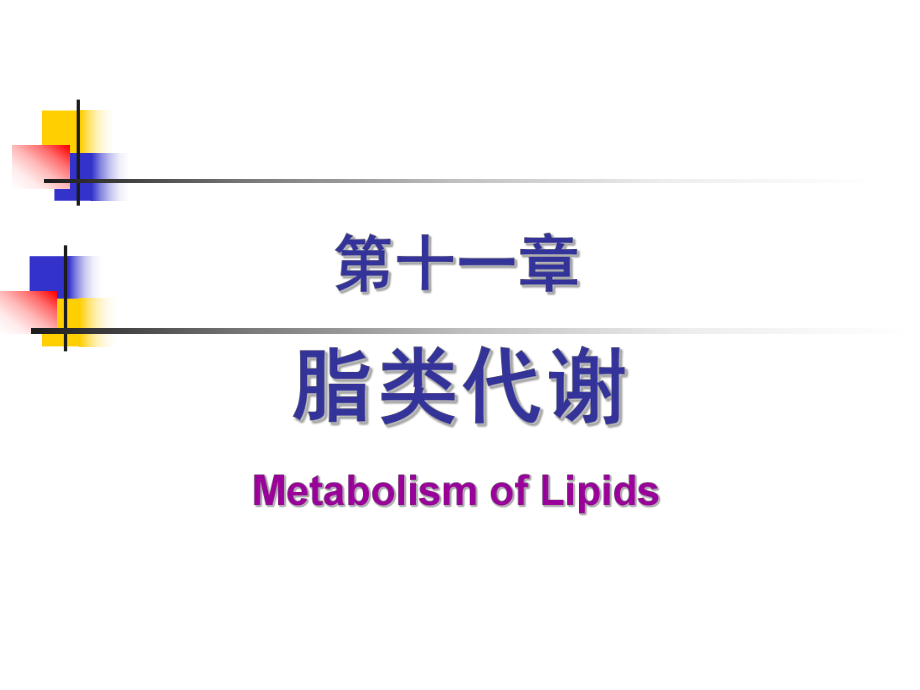 生物化學(xué)與分子生物學(xué)：第11章 脂類代謝_第1頁