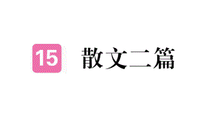 人教版八年級(jí)上冊(cè)語(yǔ)文練習(xí)課件：15 散文二篇 2