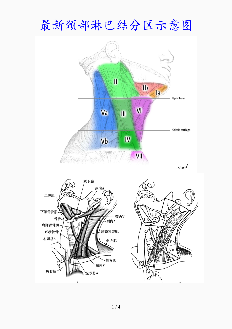 最新最新颈部淋巴结分区示意图精品课件_第1页