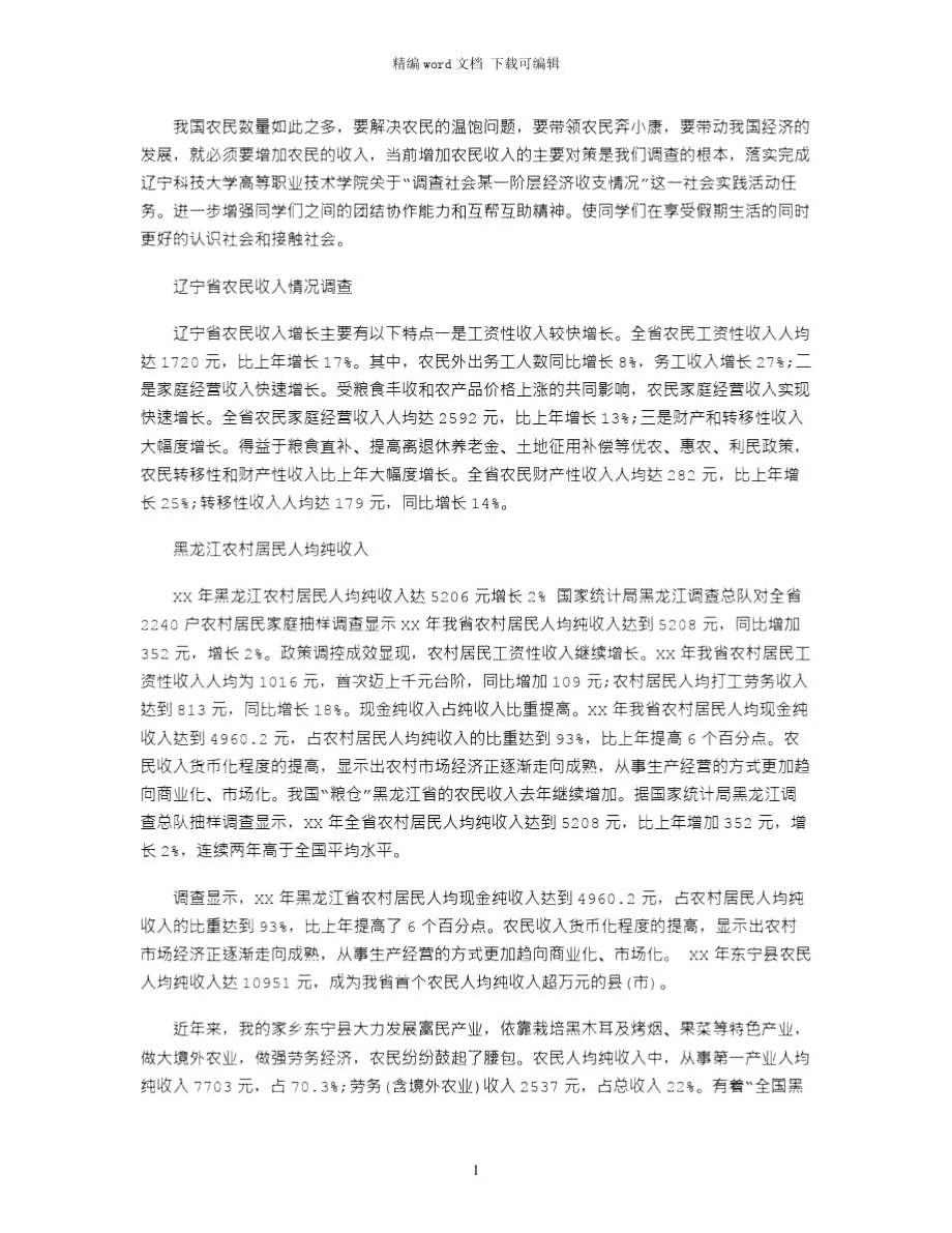 2021年大学生寒假社会实践报告(00001)word版_第1页