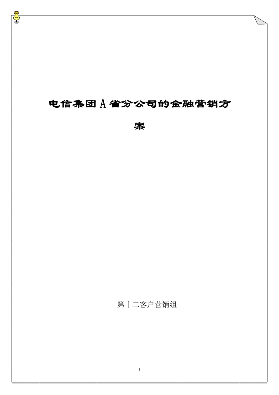 電信集團(tuán)A省分公司的金融營銷方案_第1頁