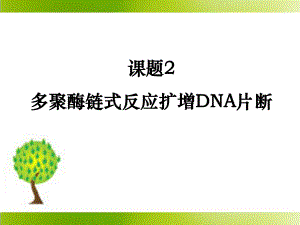 52《多聚酶鏈?zhǔn)椒磻?yīng)擴(kuò)增DNA片段》參考課件