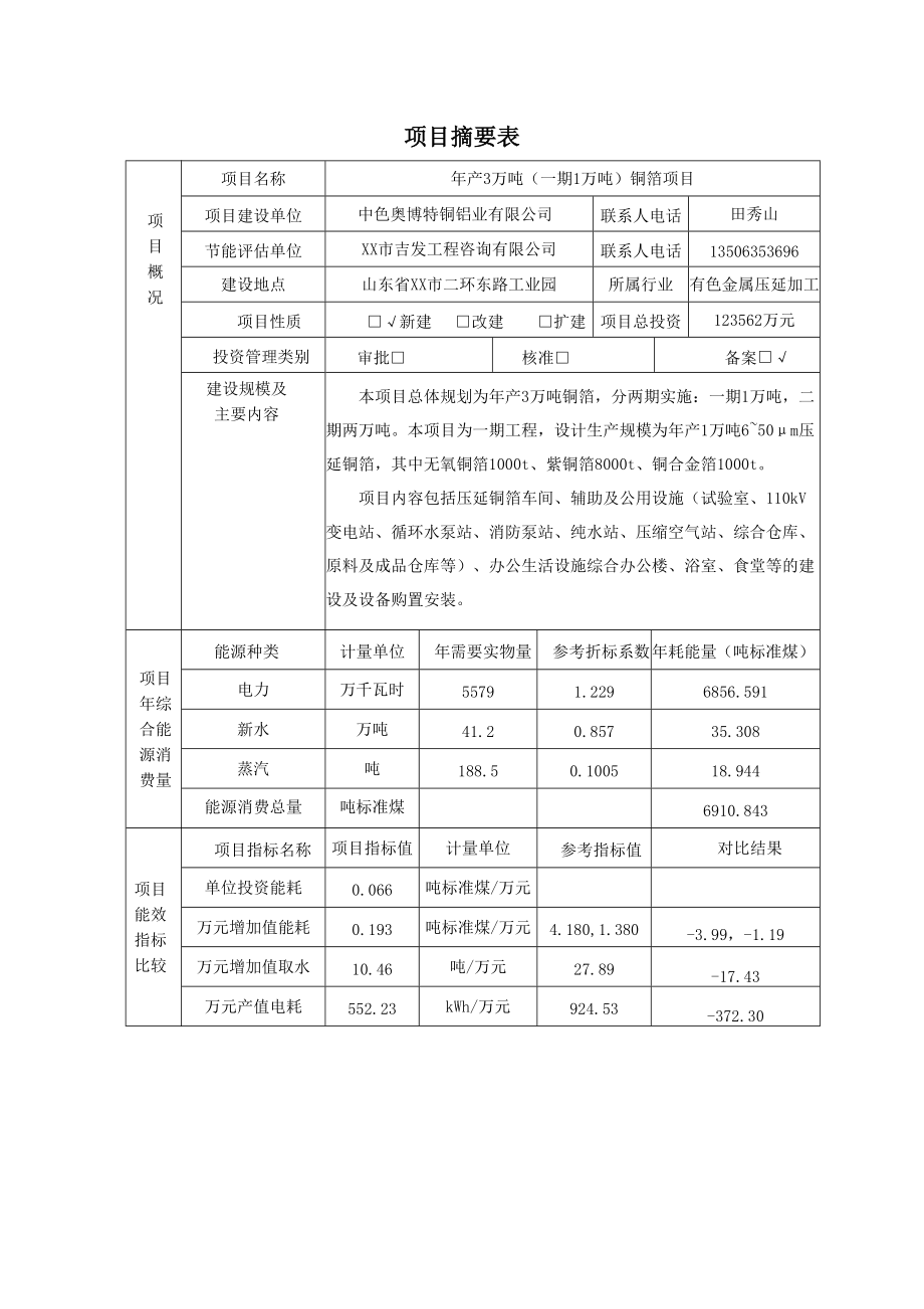 年产3万吨(一期1万吨)铜箔项目节能评估报告