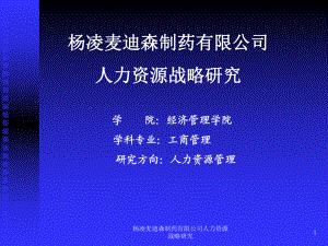 楊凌麥迪森制藥有限公司人力資源戰(zhàn)略研究課件