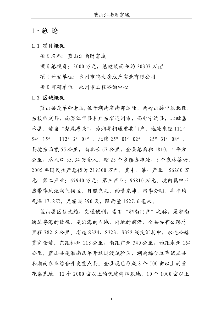 蓝山江南财富城项目可行性研究报告完成（正稿）_第1页