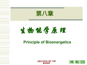 云南大学生化下册7生物能学原理课件
