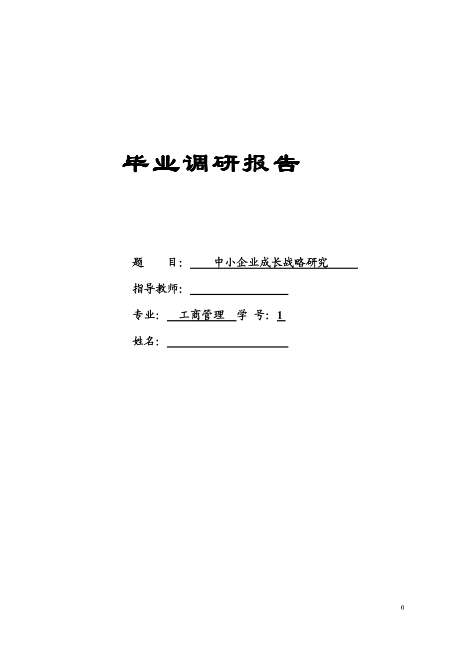 中小企业成长战略研究毕业论文_第1页