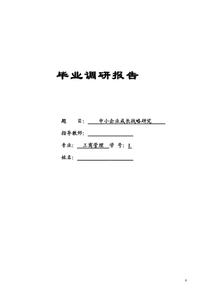 中小企業(yè)成長戰(zhàn)略研究畢業(yè)論文