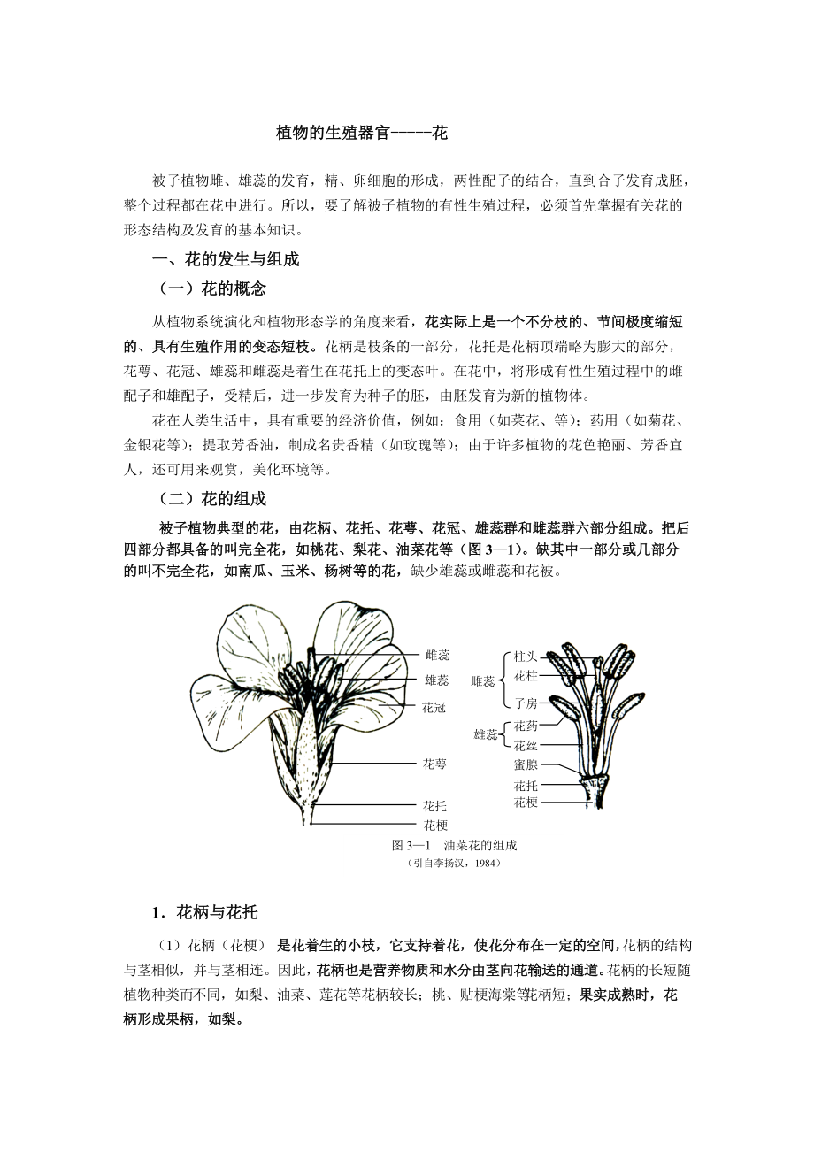 花的生殖过程图片