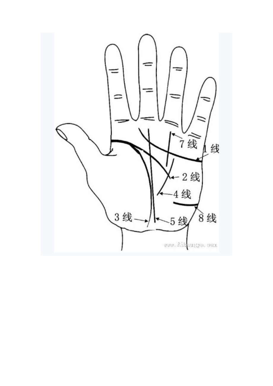 王晨霞掌纹十四线图片