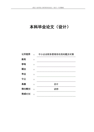 中小企業(yè)財務(wù)管理存在的問題及對策畢業(yè)論文2