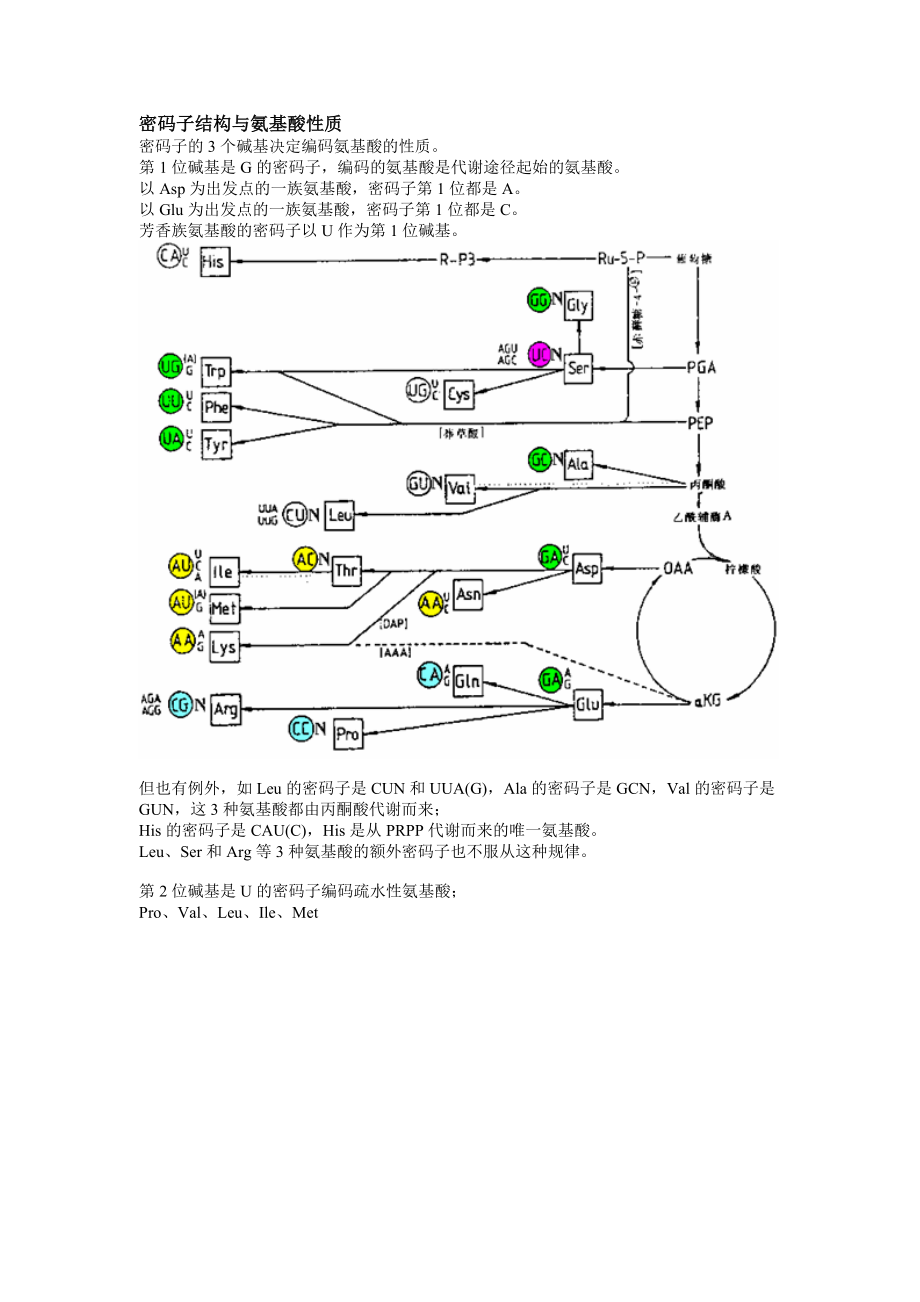 密码子结构与氨基酸性质_第1页