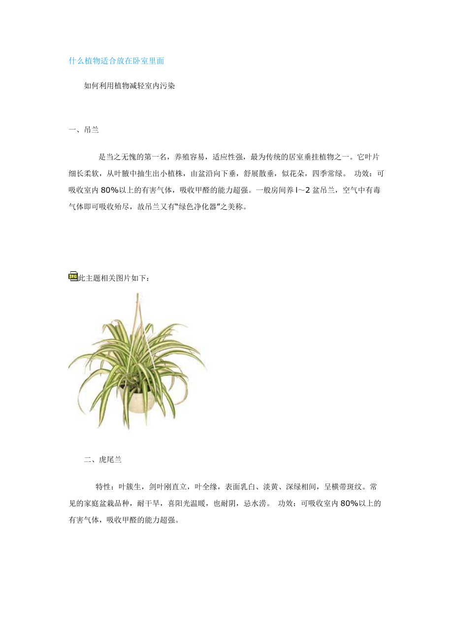 什么植物适合放在卧室里面_第1页