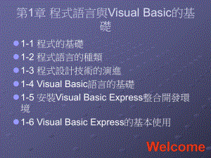 第1章程语言与VisualBasic的基础ppt课件