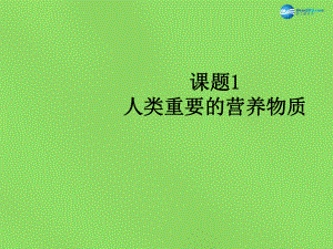 九年級化學(xué)下冊 第十二單元 課題1 人類重要的營養(yǎng)物質(zhì)課件 新版新人教版