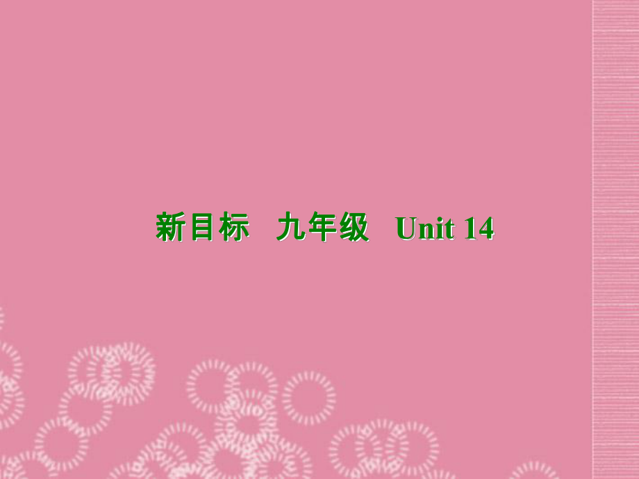 九年級(jí)英語(yǔ)全冊(cè)Unit 14Have you packed yetSection B 2課件 人教新目標(biāo)版_第1頁(yè)