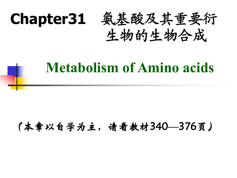生化学 第31章氨基酸及其重要衍生物生成_第1页