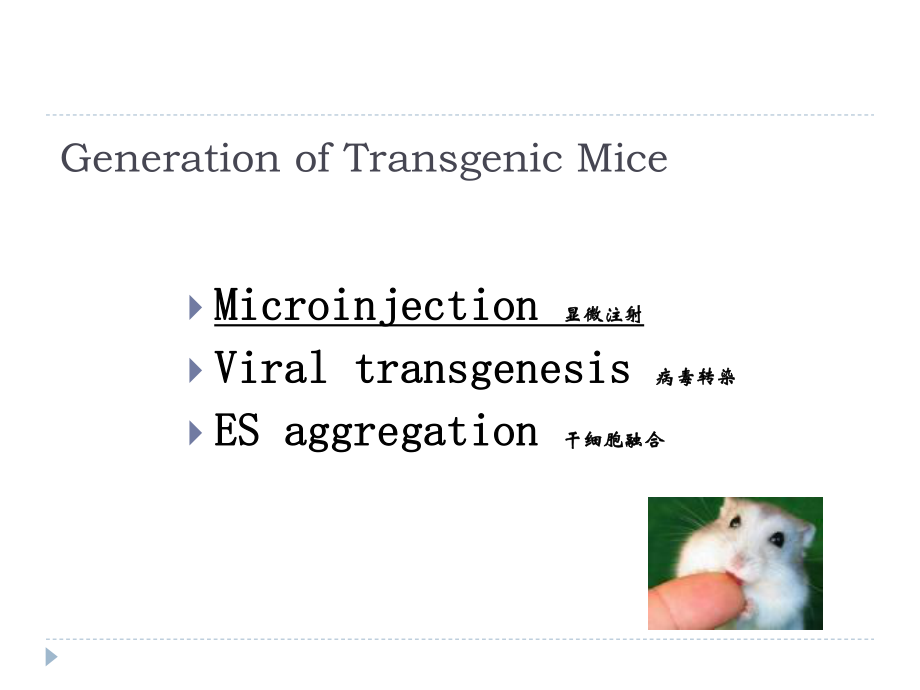 Generation of Transgenic Mice_第1页
