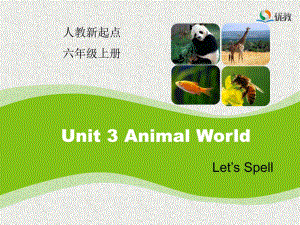 人教版(新起點(diǎn)英語六上Unit 3Animal World(Let’s