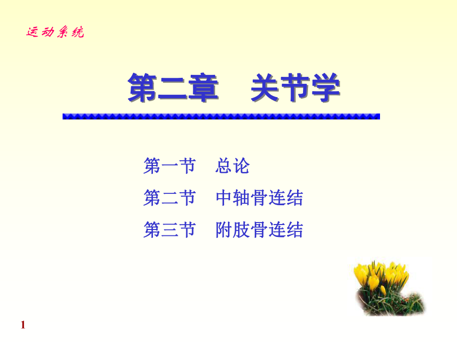 解剖學(xué)關(guān)節(jié)學(xué) ppt課件_第1頁