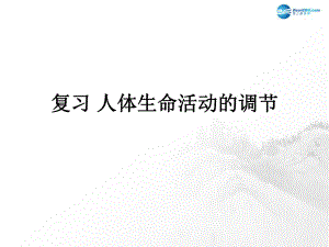 山東省臨沂市蒙陰縣第四中學七年級生物下冊 第四單元 第六章 人體生命活動的調(diào)節(jié)復習課件 新版新人教版