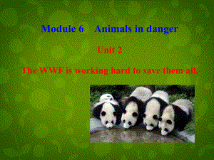 四川省華鎣市明月鎮(zhèn)小學(xué)八年級(jí)英語(yǔ)上冊(cè) Module 6 Unit 2 The WWF is working hard to save them all課件 新版外研版