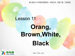 冀教版英語(yǔ)上Lesson 11 Orange, Brown, White, Blackppt課件1