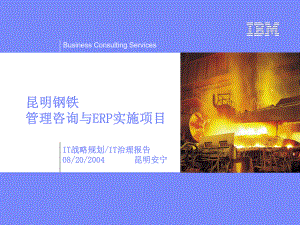 IBM：2004年08月昆明钢铁（信息化规划及治理报告）