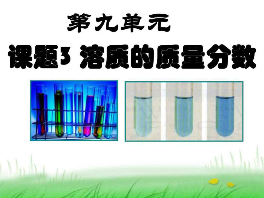 人教版化學九年級下冊 第九單元 溶液 題3 溶質(zhì)的質(zhì)量_第1頁