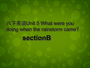 湖北省荊州市沙市第五中學八年級英語下冊 Unit 5 What were you doing when the rainstorm came課件3 新版人教新目標版