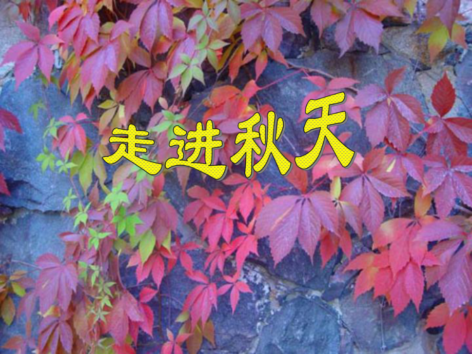 浙江省温州市平阳县鳌江镇第三中学七年级语文上册综合性学习 感受自然课件2 新人教版_第1页