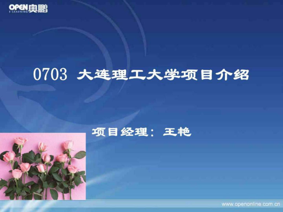 大連理工大學項目介紹_第1頁