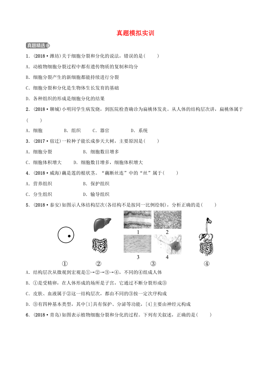 山東省淄博市中考生物 第二單元 第三章真題模擬實(shí)訓(xùn)_第1頁