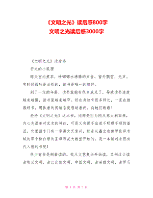 《文明之光》讀后感800字文明之光讀后感3000字