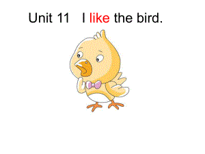 湘少版英語三上Unit 11 I like the irdppt課件