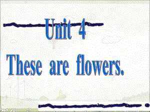 湘少版英語四上《unit 4 these are flowers》ppt課件5