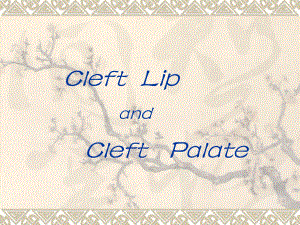 唇裂腭裂CLEFT LIP AND PALATE.ppt